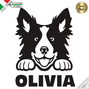 Border Collie